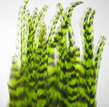 rooster saddle  grizzly fl. chartreuse 